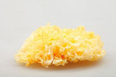 《信长之野望 新生 With 威力加强版》新系统情报曝出